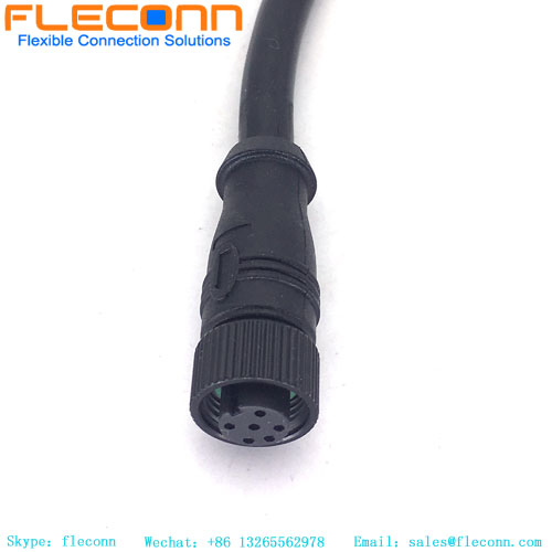 M12 6 Pin Female Cable