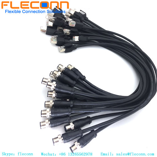 M12 D-coded Cable